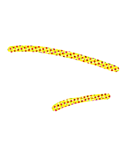 Two yellow, flexible, pipe cleaner-like objects with red and pink polka dots are positioned diagonally on a white background. The top one is longer and bends upward, while the bottom one is shorter and curves downward.